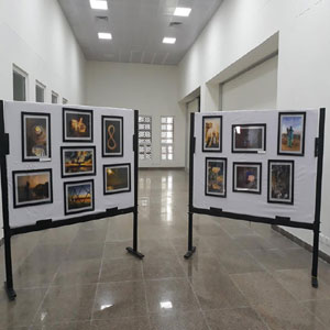 Art Exhibition